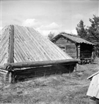 HÄRBRE KÅTA