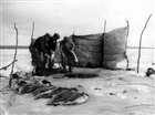 FISKARE