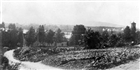 STADSVY