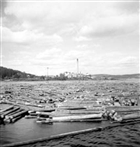MASSAFABRIK INDUSTRIOMRÅDE MASSAFABRIK INDUSTRIANLÄGGNING TIMMER