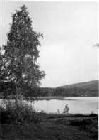 SJÖ SKOG