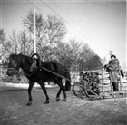 VINTERBILD MAN HÄSTTRANSPORT VEDHÄMTNING