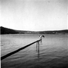 FISKELÄGE