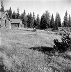 FÄBOD