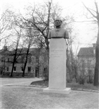 DOMKYRKA BYST SKULPTUR