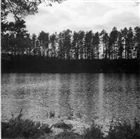 SKOG SJÖ