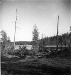 BARRSKOG SJÖ