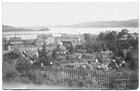 Skola
